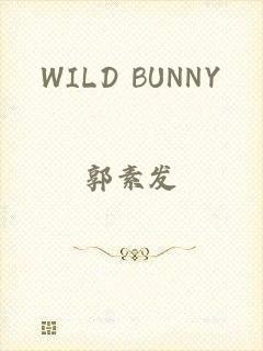 WILD BUNNY